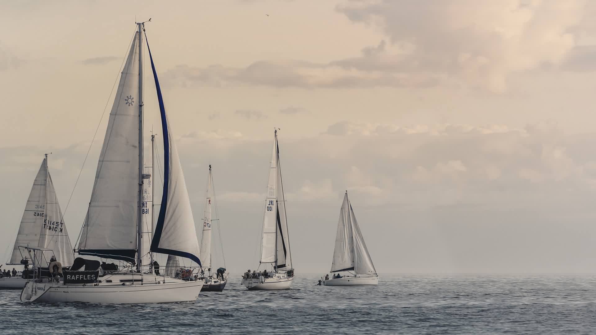 Sailing World